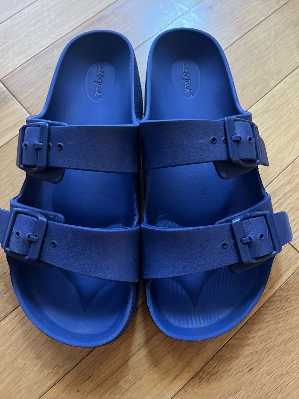 Cat & Jack Blue Dual-Buckle Slide Sandals
